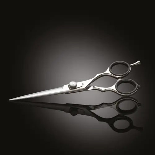 Forbici 5" per capelli Acciaio Giapponese AISI 430 extra lucido IWASAKI EXECUTIVE SILVER FUJI - immagine 4