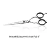Forbici 6" per capelli Acciaio Giapponese AISI 430 extra lucido IWASAKI EXECUTIVE SILVER FUJI