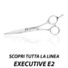 FORBICI PER CAPELLI PROFESSIONALI LINEA EXECUTIVE E2