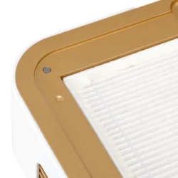 Aspiratore manicure per Unghie con Filtro HEPA per estetista centro estetico Momo P30 Oro - immagine 6